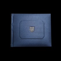 부상앨범 삽입식앨범 8X10앨범 사진20장수용 돌잔치 웨딩사진 포토앨범, 네이비