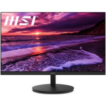 (포) MSI 프로 MP242 IPS 아이세이버