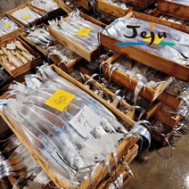 냉동제로 제주생갈치 큰사이즈 산지직송 제주한림수산, 왕특대1마리, 1개