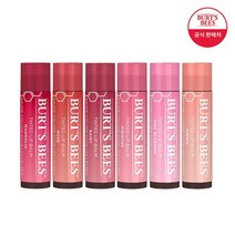 버츠비 +립밤 필로우케이스증정 틴티드립밤 립밤 1+1 6종 택2, 05_데이지/05_데이지