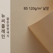 뉴씨플레인 종이문화 얇은 양면색지 120g B5 낱장 1매 No.56 굴색, 1장