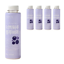 팜79 너의하루 블루베리, 50g, 25개