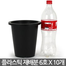 플라스틱 화분 양란 재배분 4호(10개) - 플분 양란 녹차 난화분 란화분 난재배분 양란화분 난재배 녹차재배분 긴화분, 03_청운_재배분(6호) X 10개