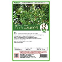 다-고로쇠(단풍)나무 500g 나무씨 나무종자 나무씨앗