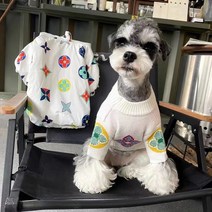 아메리칸불리패딩 소형견 패딩 소형견 겨울 외출복 미용후, 안심 패딩