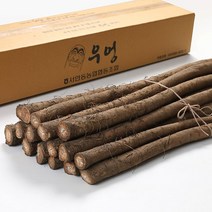 JS컴퍼니 [서안동농협] 국내산 생 우엉 2kg, 우엉 알뜰(차용) 2kg