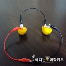 브랜드 과학교구 과일전지만들기-단체 10인용
