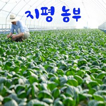 푸르젠 당일 수확 발송 유기농 모듬 쌈채소(야채), 1개, 1kg