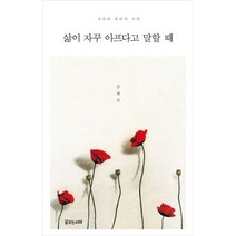 삶이 자꾸 아프다고 말할 때:치유와 위안의 시편, 김재진 저