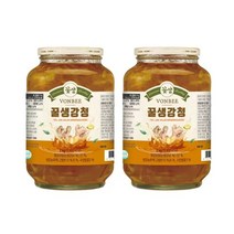 본비 생강청 2kg x 2