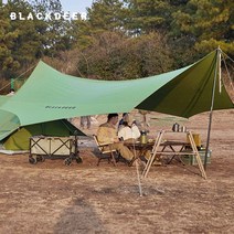 블랙디어 면 헥사타프 캠핑 대형 옥타타프 그늘막, 6각, 그린