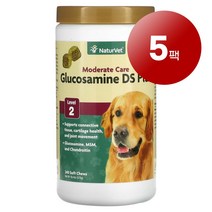 리암마켓 NaturVet 네이처벳 강아지용 조직 연골 관절 건강 관리 보충제 글루코사민 DS 플러스 소프트츄 240개 576g 1팩, 5팩