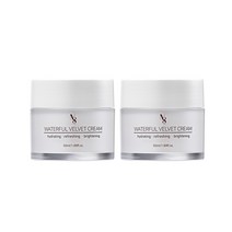 넘버에잇 워터풀벨벳 수분 광채크림 저자극 보습 물광 50ml 데이크림, 2개