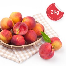 자두는 역쉬 경북 자두 2kg 중 (추희자두), 4kg, 1개