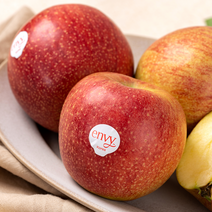[envy사과] 엔비 산지직송 당도선별 사과, 1.5kg(6~8입), 1봉