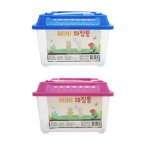 아인몰 국산 미니채집통 곤충채집통 곤충사육통 색상랜덤발송, 5개 (1세트)