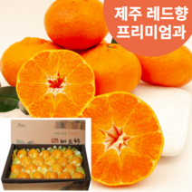 제주 레드향 제철 과일 프리미엄과 3kg 5kg 선물세트 천혜향 귤로향 귤 감귤 제주도 산지직송, 02. 프리미엄과 5kg