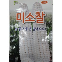 [가람종묘사] 미소찰옥수수 씨앗70립(통이 크고 맛과 품질이 우수해 영리재배로 좋은 품종이며 청과용 및 냉동가공용으로도 좋음)), 1개