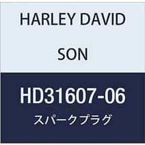 오토바이 부품 할리 데이비슨 점화 플러그 6r12 hd32362-04a, hd31607-06