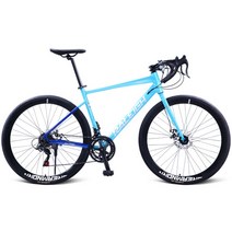 픽시 자전거RALEIGH-700C 로드바이크 자갈 자전거 14/16/21 스피드 디스크 브레이크 레이싱 바이크 성인, 04 Blue 14 speed_01 700c