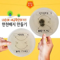 (HSS) 한천배지만들기(스티커포함)(10인) 일반세균검사, 본상품