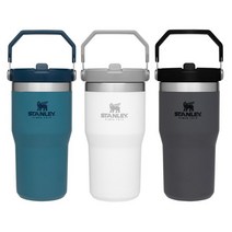 [스탠리공식유통사] 클래식 아이스플로우 플립 텀블러 591ml, 알로에 10-09994-120