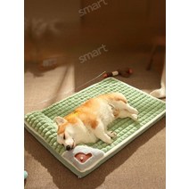 큰개집 야외개집 애견하우스 대형개집 강아지펜스 대형견집 견사 야외강야지집, 특대3XL-60캐티, [간식세트]브라운래빗패드+치킨어금니스틱