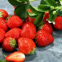 논산 산지직송 설향 딸기 상/특/왕특 700g~1.8kg, 논산 설향 딸기 상 35구(700g내외)