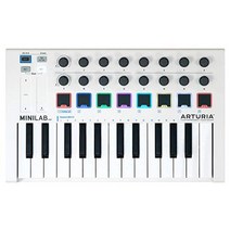 Arturia MIDI 키보드 컨트롤러 MINILAB MK II, 상품명참조, 상품명참조