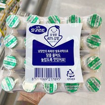 [홈플러스]남양_요구르트_65MLx20 x 2개, 아이스보냉백포장