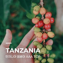 [생두] 탄자니아 음베야 AAA TOP 5kg