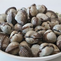 [보성농수산] 통통하고 맛있는 벌교새꼬막 중대 당일채취 산지직송 벌교우체국택배로 보내요, 1개, 새꼬막 중 2kg
