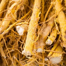 신토불이 국산 약초 꾸지뽕뿌리 600g, 13Z1_국산꾸지뽕뿌리600g