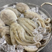 부산이오 냉동 활주꾸미 1kg, 80/100 (1kg)