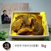 국내산 상황버섯 균사체 베타글루칸 뽕나무 목질진흙버섯 원물 덩어리 100% 상황버섯차 달인물 먹는방법 끓이는법 친환경 인증 선물 세트, 1kg, 1개