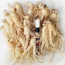 [GAP 취득 농부의인삼]햇 인삼 수삼 6년근 5년근 난발 파삼 세척 삼계탕 선물 산지직송 홍삼액 금산인삼, 세척함, 3.잔난발(710g)-22뿌리내외