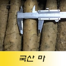 국산 장마 작마 생마 알뜰마 1kg 마전 마요구르트 마우유, 1개