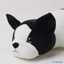 [70cm] 푸른눈 프렌치 독, 상세페이지 참조, 상세페이지 참조, 상세페이지 참조