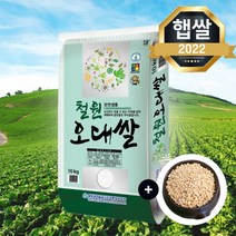 [찰보리 300g 증정] 22년 햅쌀 철원 오대 쌀 10kg 농협 오대쌀 단일품종 오대미, 단품