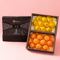 농부들의수확 [농부들의수확] 한라봉 3kg+레드향 3kg 과일선물세트(부직포가방 포장), 단품없음