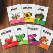 꿈쟁이 1종 씨앗봉투 방울토마토 바질 외 4종 나팔꽃, 1개
