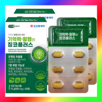 기억력 혈행 혈액순환 개선 도움 진코 등 500mg, 30정×2박스 (2개월분)