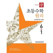 디딤돌 초등 수학 원리 6-1(2023)