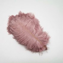 공예용깃털 펜 먼지털이 10 개 자연 염색 솜털 부드러운 타조 공예 DIY 바느질 보석 만들기 드레스 웨딩 장, 20 Leather pink feather