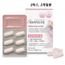 갱년기 유산균 yti 여성 질 유래 프로바이오틱스 캡슐 알약 식약처 인증 식약청 인정 추천 lgg 모유 복합 균주 신 프리바이오틱스 락토바실러스 애시도필러스 람노서스 장 면역 건강, 2box, 민쓰네가게 1box당 30캡슐