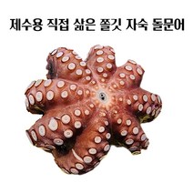 (특가)제수용 직접 삶은 쫄깃 자숙 돌문어 1마리 1.5kg 이내 제사음식 명절음식 제사문어 모리타니아, 1개