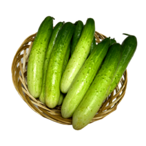 아삭하고 향이 진한 신선하고 맛있는 국내산 조선 백다다기 오이 산지직송, 2kg