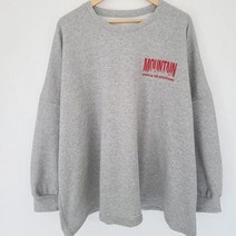 애플망고옷장 봄가을 빅사이즈 오버핏 긴팔 22산 박스 롱티셔츠