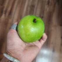 목하원예조경 자두나무 묘목 청자두 (켈시) 접목1년특묘, 1개