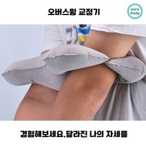 제로버디 골프 스윙자세 교정기, 그레이